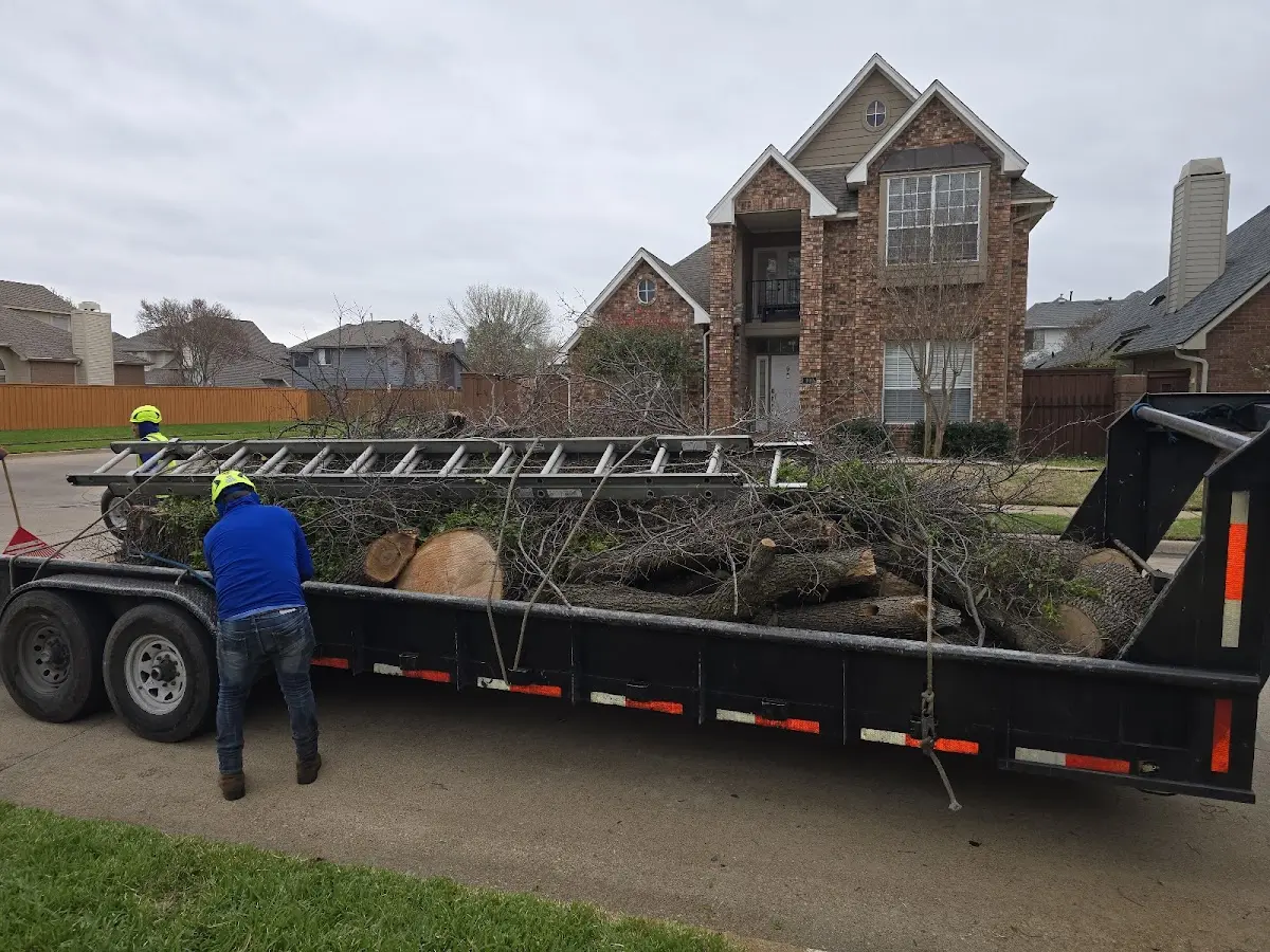 Expert Lot Clearing with proper safety equipment in Ahmeek